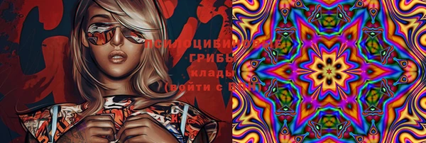 спиды Кострома