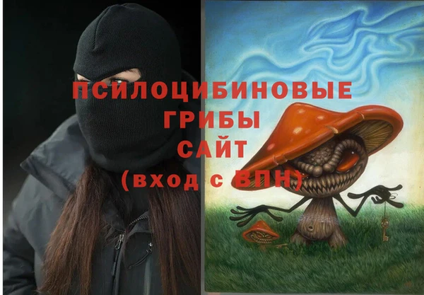 твердый Саяногорск