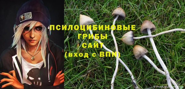 твердый Саяногорск