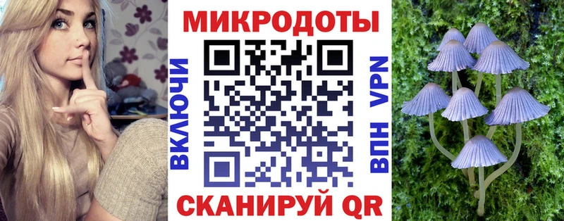 наркошоп  Зеленокумск  Псилоцибиновые грибы мицелий 