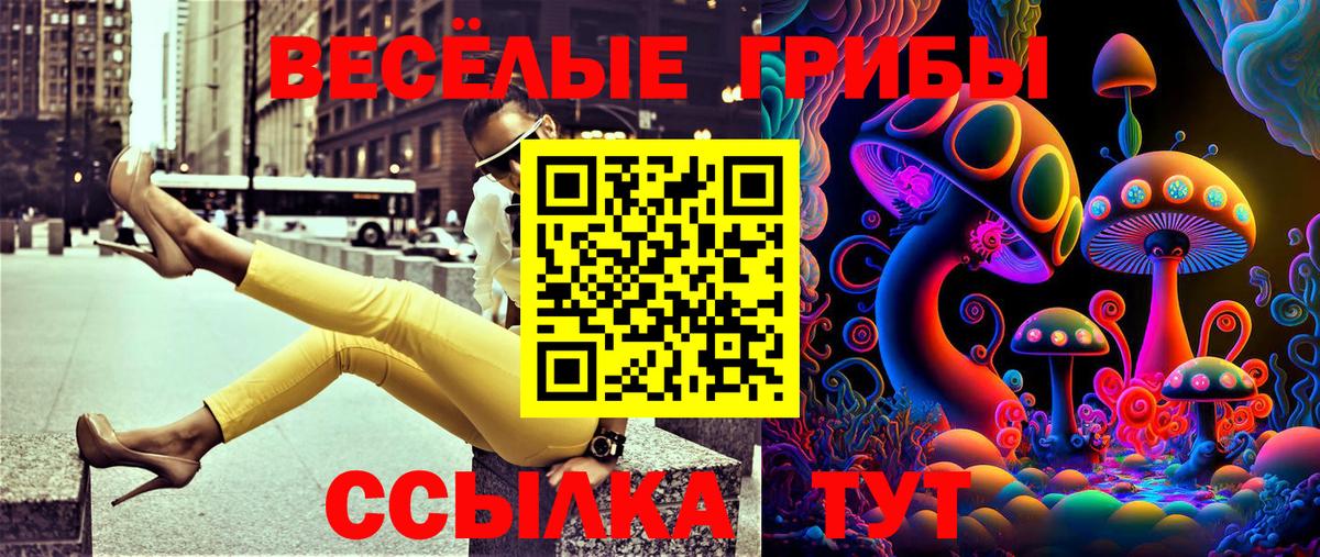 Псилоцибиновые грибы Cubensis  как найти закладки  Зеленокумск  Вход с VPN 