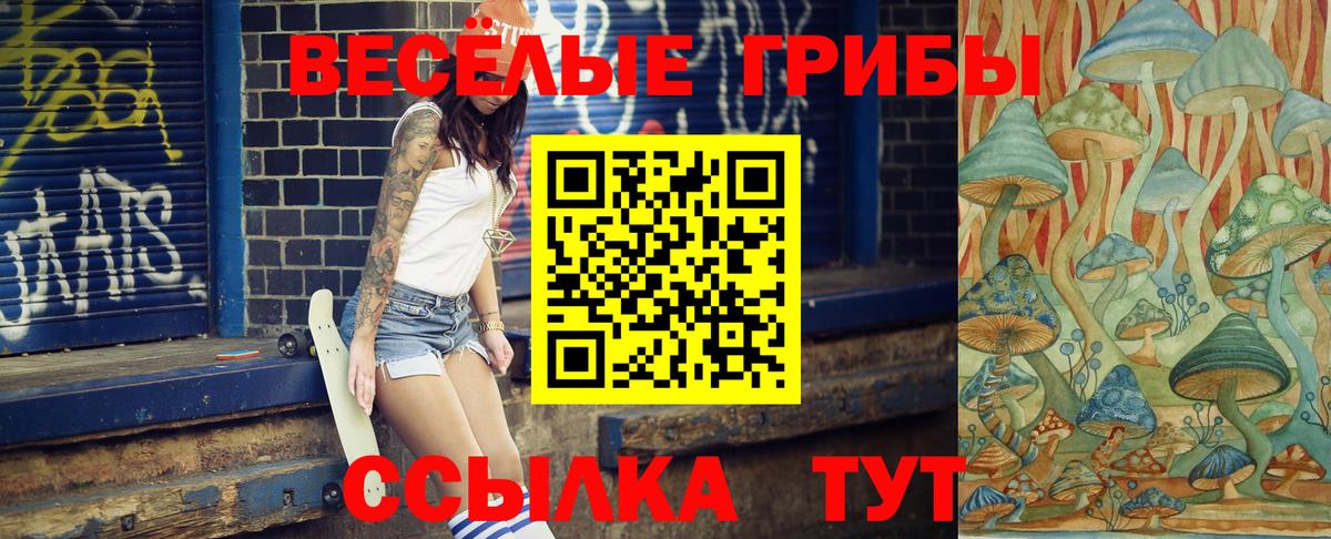 Псилоцибиновые грибы мицелий Зеленокумск